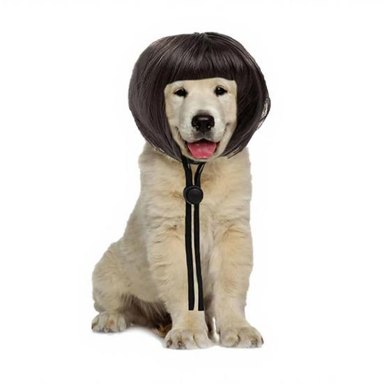 Bob Saç Kesimi Evcil Hayvan Peruğu Komik Tam Kaküllü Köpek Peruğu Kesilebilir Kısa Kedi Peruğu Ayarlanabilir Kayışlı Partiler ve Cosplay İçin Kostüm Aksesuarı