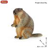 Oenux Wild Animals Simulation Rodent Marmot Mouse Model Squirrel Rat Chinchilla Action Figure Figurine Collection Cute Kid Toy
