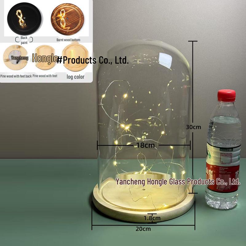 Luminous Sea Urchin Glass Dome with Preserved Flowers and String Lights