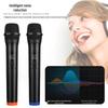 Wireless Microphone for KTV, Live Broadcast & Outdoor Performances - One-to-Two Dynamic System
