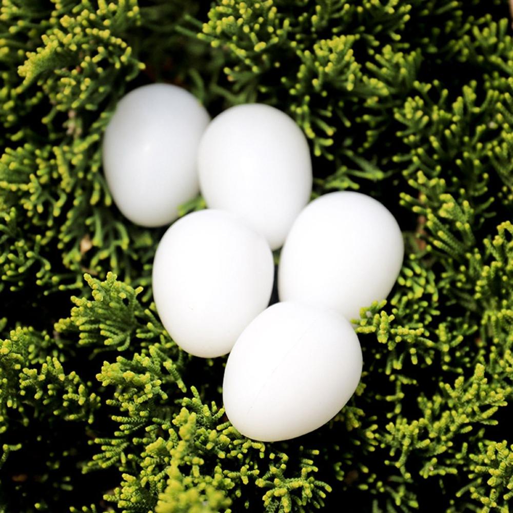 Papagal Paraguș Solid Realistic Simulare Porumbei Accesorii Instrumente pentru avicultura Ouă false