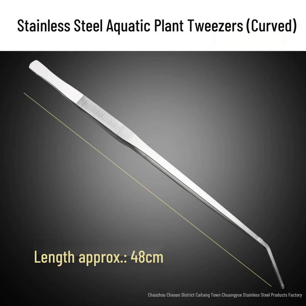 Stainless Steel 304 Non-Slip Toothed Tweezers for Succulents