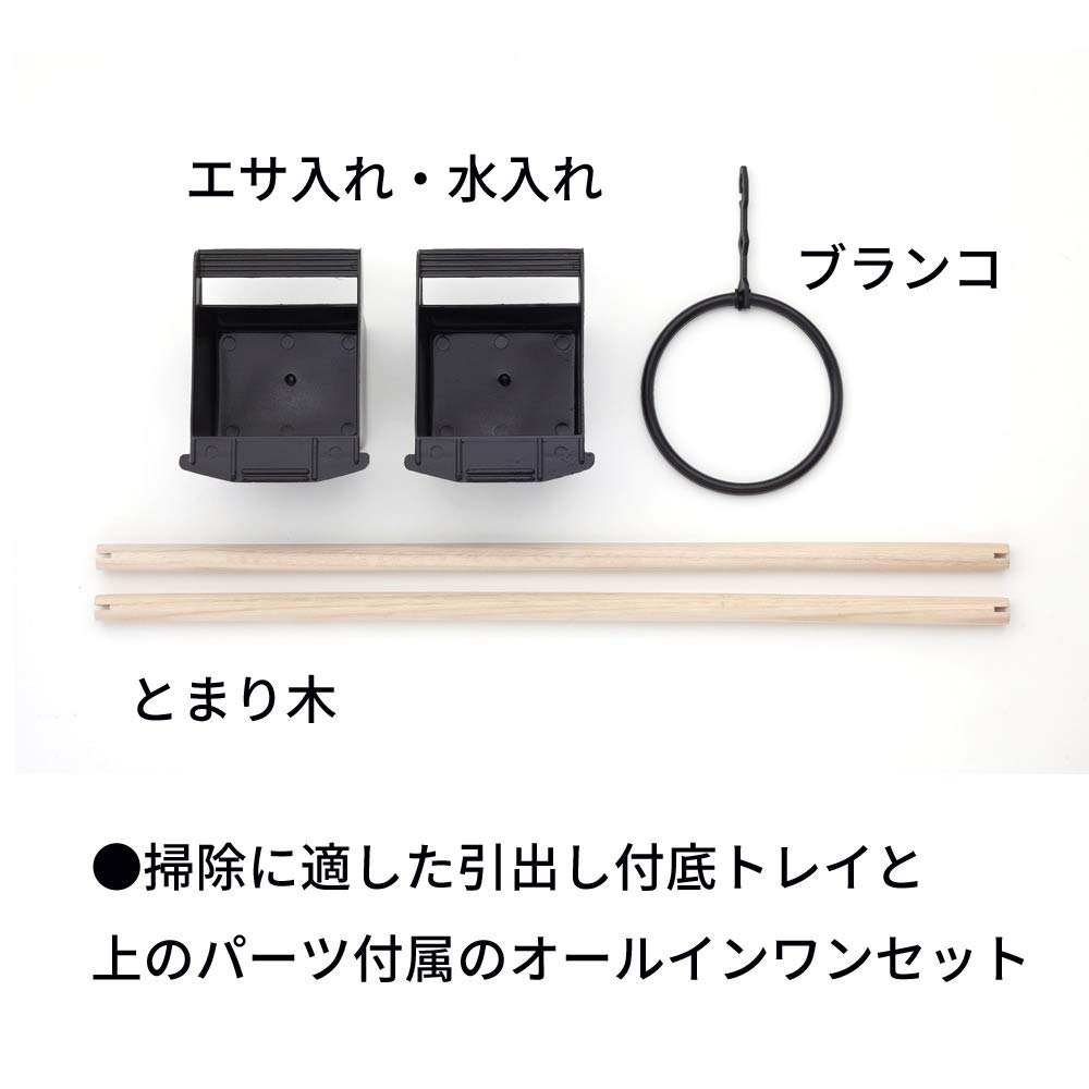 Minimal Land Bird Palace King for Small Birds