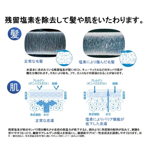 [.co.jp Exclusive] Torayvino Toray Shower Replacement Cartridges (2-Pack) Recommended by the Japan Atopic Dermatitis Association (RSC51-2)