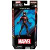 Hasbro Marvel Legends Series Future Ant-Man, Marvel Comics Collectible 6-inch (15cm) Action Figure, Ages 4+, F6579, Authentic Product