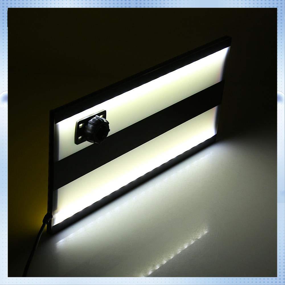 Led Stripe Line Board Paintless Dent Removal Repair Tools With 5M Long Line And Adjustment Holder Yellow Light Yellow  black