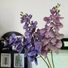 Umělá můra orchidej Falešné květiny Pro domácí dekor Obývací pokoj Hotelové okno Svatební aranžmá