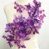 1Pc Lace Applique Wedding Dress Clothing Decoration Material Diy Accessories Lace Patch 45.5*27.3cm