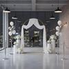 10 Sets Curved Arch Arch Frame Sturdy Metal Backdrop Arch Curved Arch Backdrop Stand Modern Look Event Decor for Ceremony