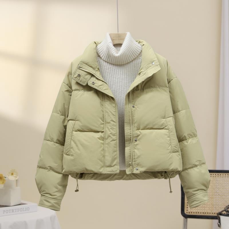 Winter Warm Long-sleeved Cotton Clothes Women's New Korean Version Fashion Loose Coat Casual
