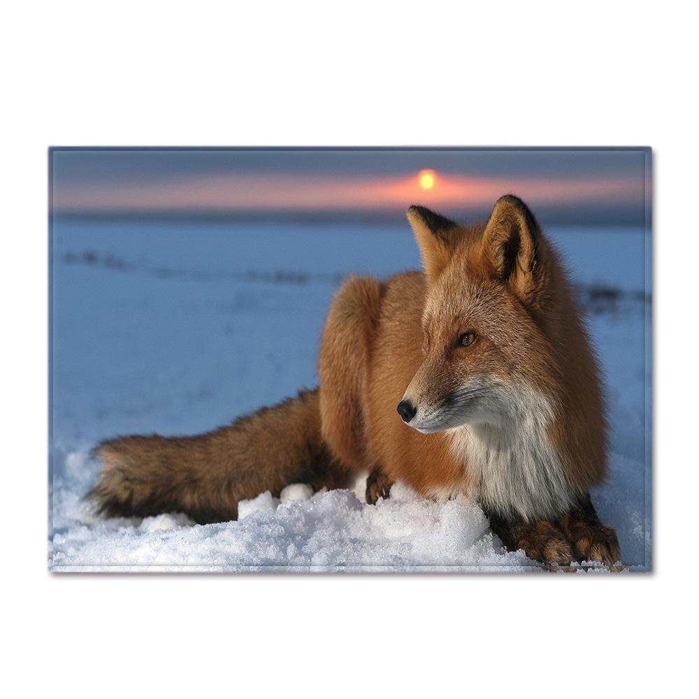 Animal Large Carpet Feather Wind Bedroom Floor Mat