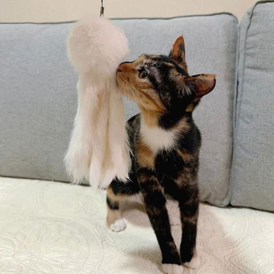 Giocattolo Interattivo per Gatti con Pelliccia Morbida Design Leggero Forma di Polpo Giocattolo per Animali Domestici per Far Spendere Energia