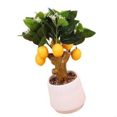 Decorațiuni pentru casă – Flori decorative şi coroane de flori