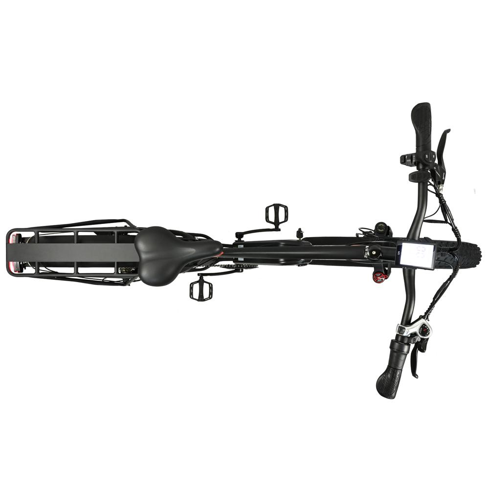 BAOLUJIE DP-2619 Speichenrad Erwachsenen Elektrofahrrad 750W Motor 48V13AH Batterie 26*4 Zoll Fat Tire E-Bike Mountain Offroad Elektrofahrrad