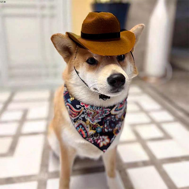 Pet cat denim hat headwear mini denim dog hat triangle scarf combo