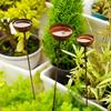 Long Stem Metal Bird Bath Vintage Weathered Insect Watering Station Rain Collectors  Garden Stakes