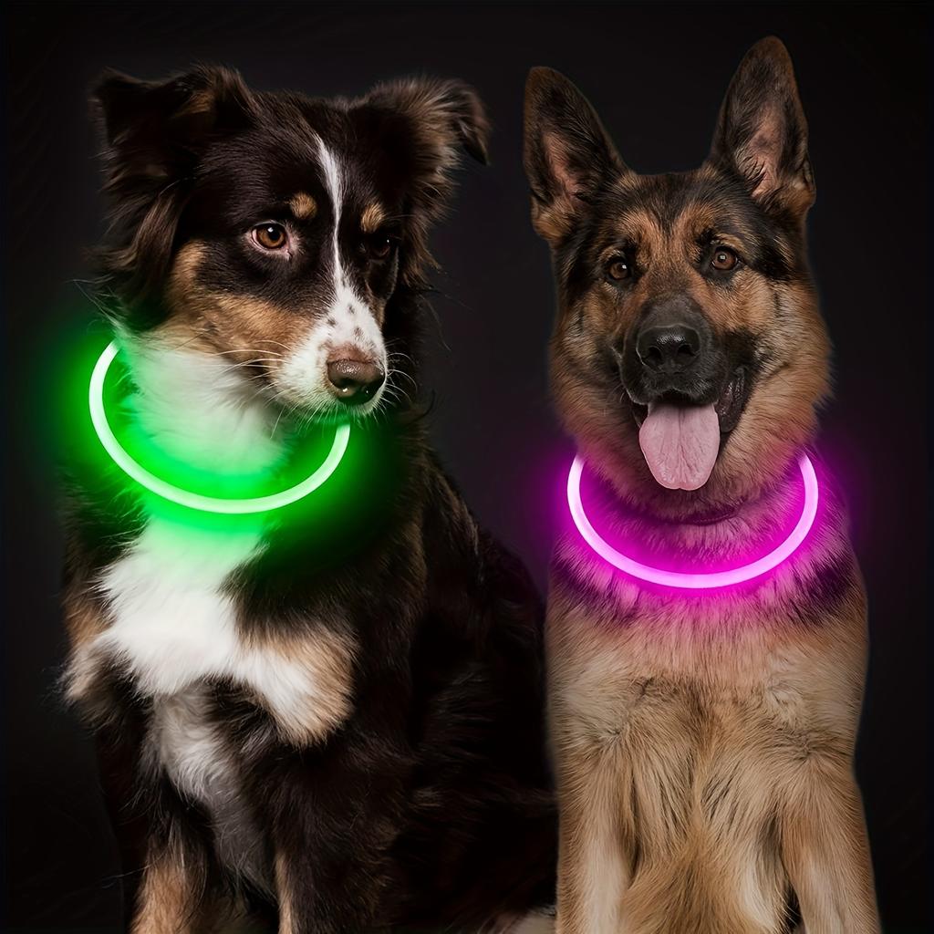 LED-Licht Halsband für Hunde, Nachtlicht Anti-Verlust-Halsband, Leuchtendes Halsband für Nachtspaziergänge, Sicherheitswarnung, Anti-Verlust-Hundezubehör
