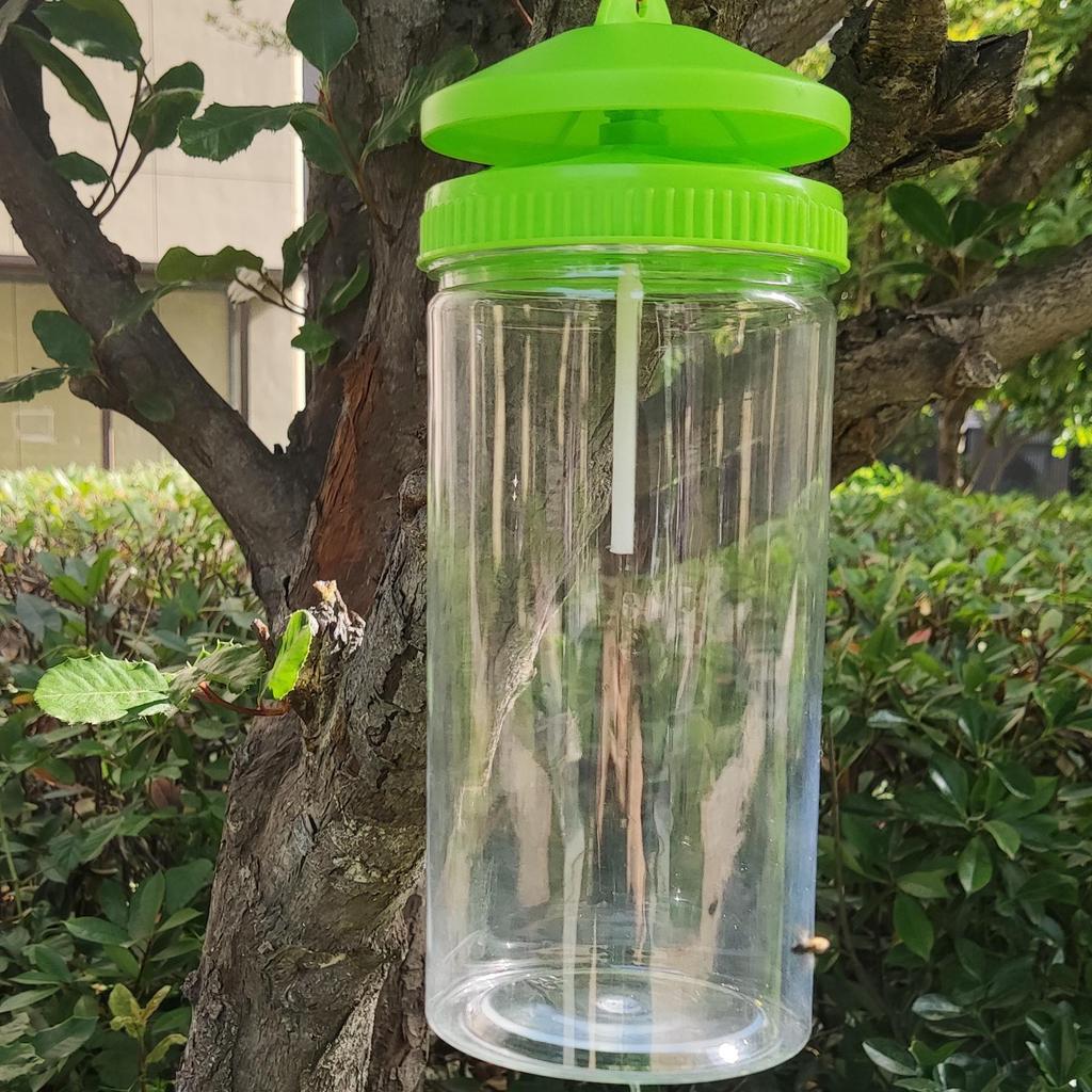 Grande Trappola per Moscerini della Frutta e Vespe con Attrattivo per Mosche del Melone