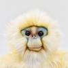 BH6765 HANSA Snub-nosed Monkey 30