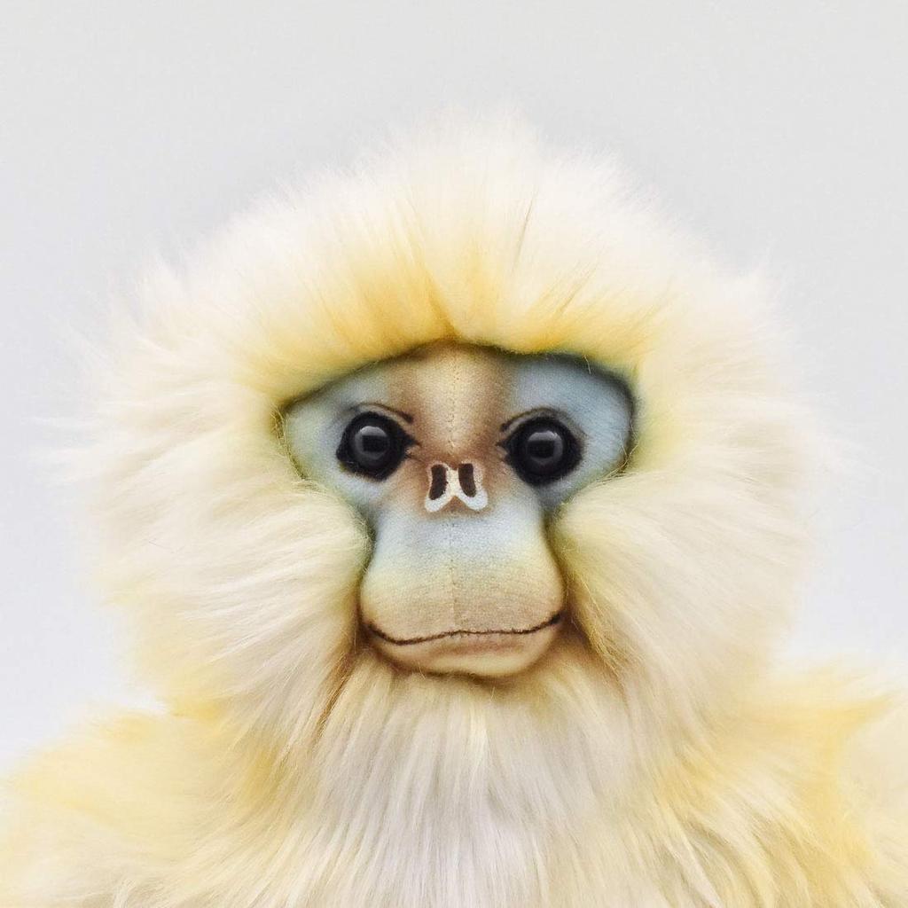 BH6765 HANSA Snub-nosed Monkey 30