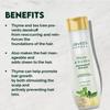 Jovees Herbal Thyme And Tea Tree Anti Dandruff Shampoo For All Hair Types 150ML Pack