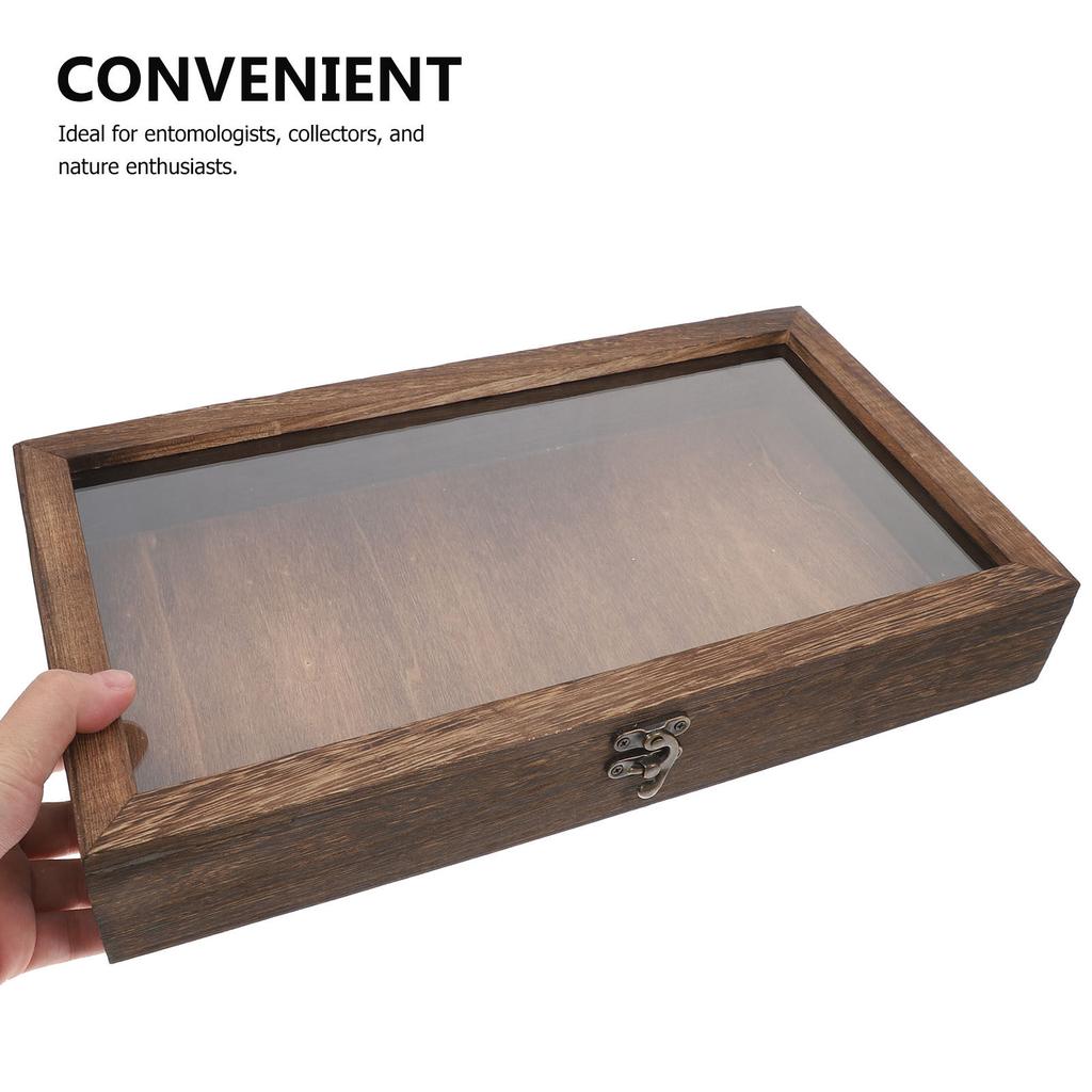 Vassoio Espositore per Campioni in Legno Scatola Contenitore per Farfalle Cornice Scatola Ombra per Insetti Rocce Pietre Preziose Gioielli Collezione Conservazione
