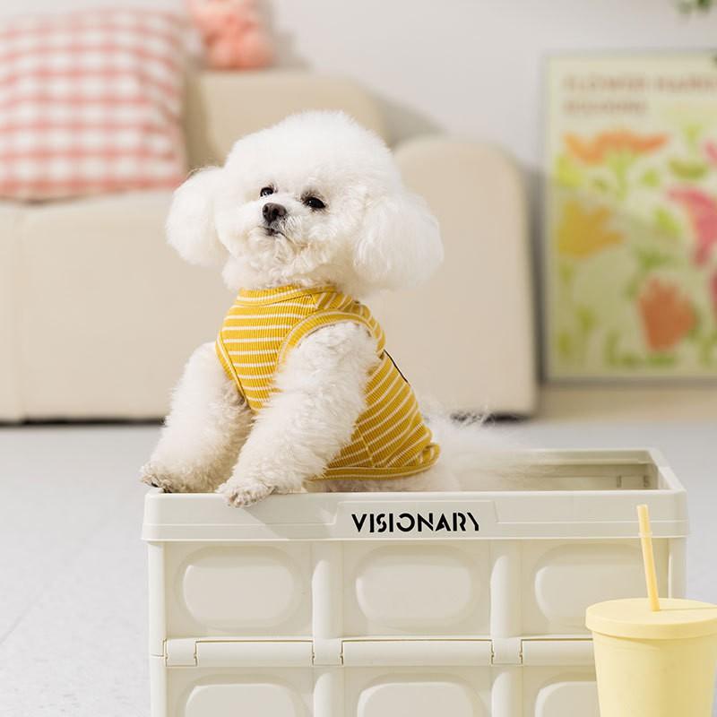 Lightweight Cartoon Striped Bear Vest Small Dogs Teddy Two-Legged Outfit With Leash Hole