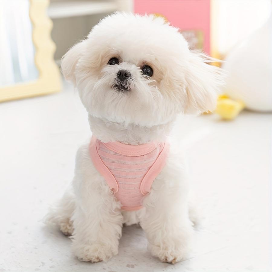 Pet Two Leg Jacket Breathable Lightweight Hollow Striped Bear Can Pull Dog Tank Top Cat Teddy Spring/Summer Clothes