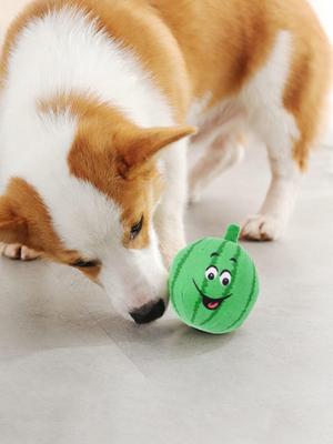 1 Stück entzückendes Haustierhund-Plüsch-Quietschie-Spielzeug - Weiche Cartoon-Wassermelonenform Haustier-Soundspielzeug für Hunde Welpen zum Zahnen, Spielen