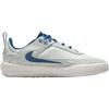 Nike Day One SB SE GS Sail Green Pink Skate Shoes FN4211-100