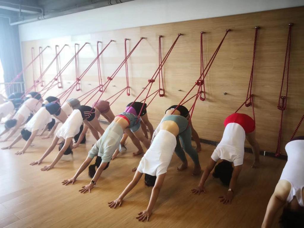 Professionellt Iyengar Väggrep Set: Anti-Gravity Yoga Hjälpmedel med Ren Bomullssnodd för Luftakrobatik
