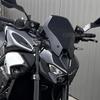 Neues Touren-Windschild Windabweiser Visier für Kawasaki Z 900 SE Z900 2025 Motorrad Windschutzscheiben-Schutzabdeckung