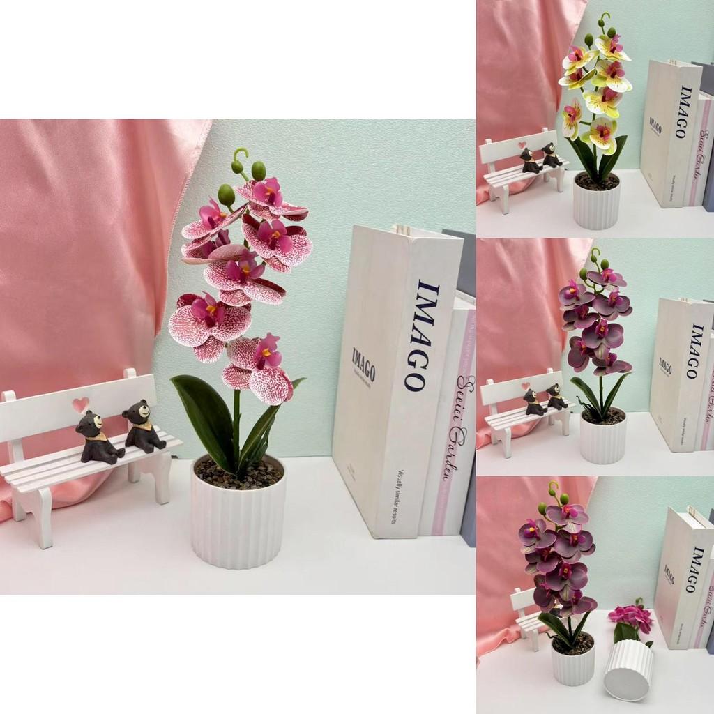 Butterfly Orchid Artificial Potted Plant For Wedding Decor And Photography Props