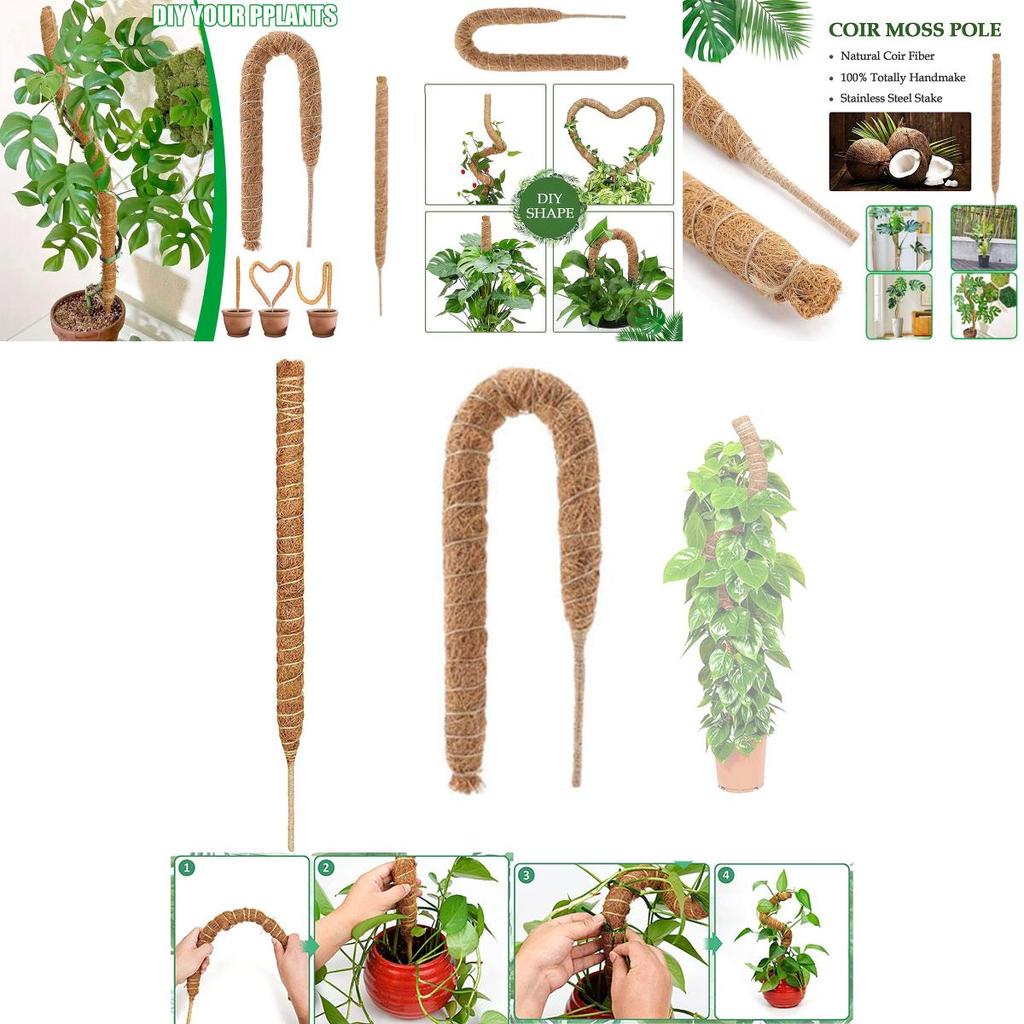 Premium Quality Coconut Shell Plant Climbing Pole 60-120cm Length
