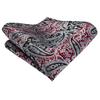 Hi-Tie Men Business Cravat Silk Ascot Scarves Grey Paisley Tie Set for Men Handkerchief Cufflink Set