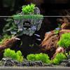 Landscape Hallowed Cave Hideouts Fish Tanks Decorations for Aquariums Terrarium Shrimp Caverns Stone Ornaments
