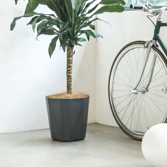 Plant Pot with Drainage Holes Decorative Planter with Matching Saucer Modern Flower Pot for Indoor Outdoor Use Pothos Aloe