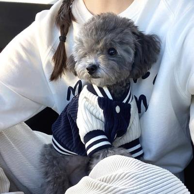 Veste de baseball pour chien Vêtements pour petits chiens avec manches raglan Manteau de sport mignon pour chiots Caniche Bichon frisé Tenue quotidienne