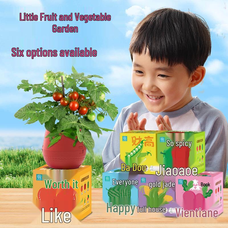 Kids' Chili Planting Pot - Primary School Gardening Kit