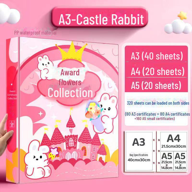 

Прозрачная папка-файл формата А4 для отслеживания роста студента