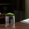 Glass Terrarium For Mountain Views Moss Planter Hydroponic Plant Container Multifunctional Cup Home Decoration Great Gift