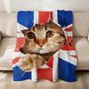 Kawaii Abstrakt lustig Sigma Meme Ägypten Katze Flanell weich warm Plüschdecke Sofa Wohnzimmer Haustier hogar Bett Geschenk Zuhause Auto tragbar