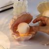 Luminous Shell Night Light & Jewelry Tray: Bedside Lamp and Ornament