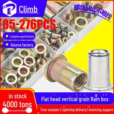 304 Stainless Steel Flat Head Rivet Nuts Set - Mixed Sizes (96/166/176 PCS)