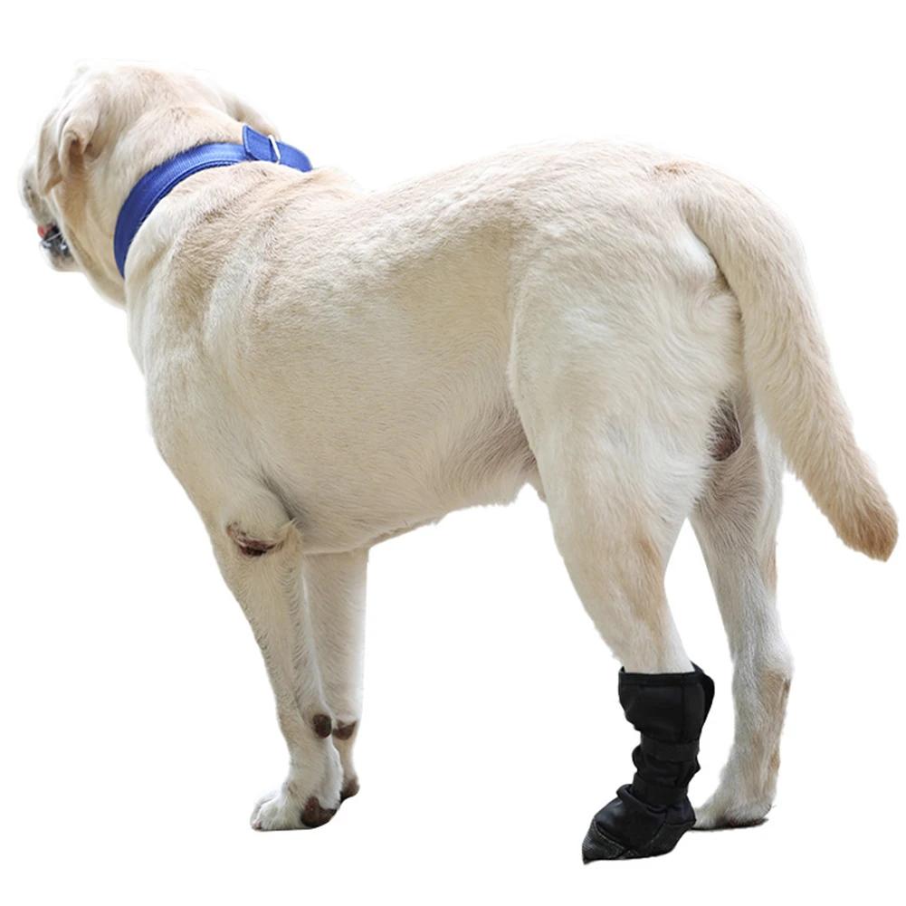 Pet Waterproof Foot Cover Dog Post-surgery Injury Protection Cover Four Feet Can Be Used Protect Dog Paw Shoe Cover Pet Supplies