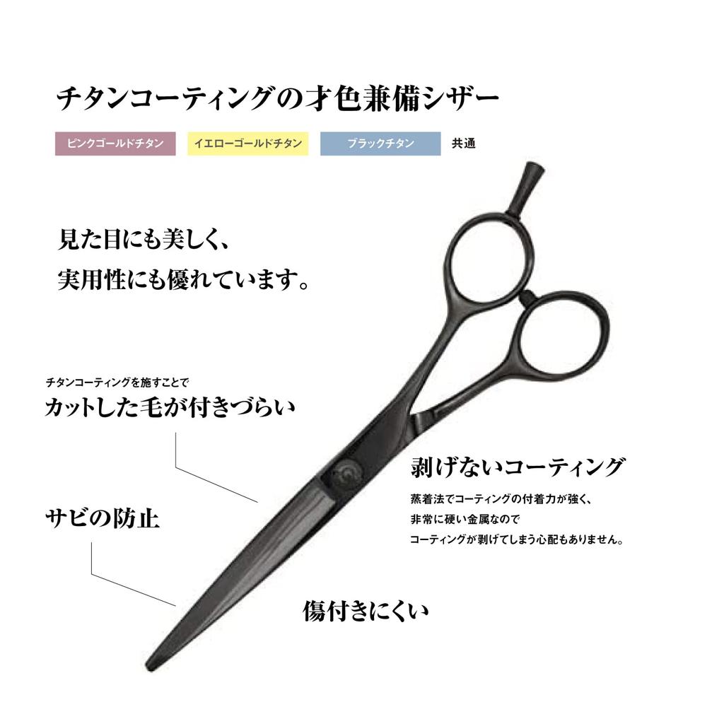 DEEDS GDZ Titanio Negro de Tijeras Japonesas para Peluqueros Profesionales y Cortadores de Pelo [PF] Tijeras, 6.0 pulgadas, Especialista,