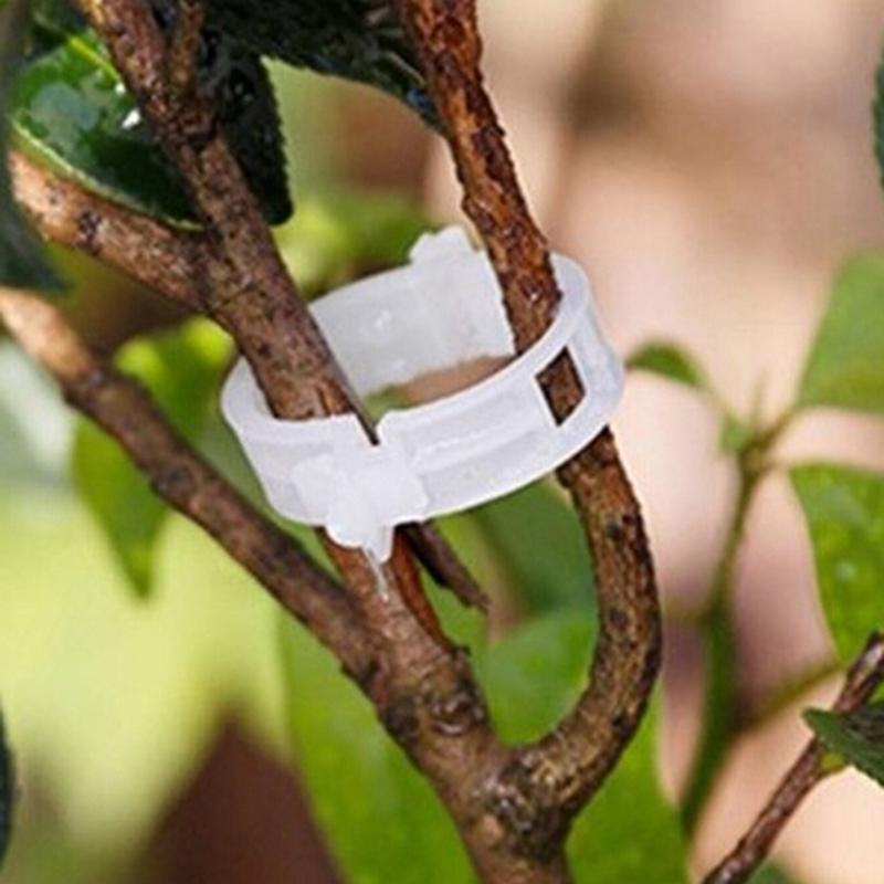 100pcs veggie garden plant support clips for trellis twine greenhouse