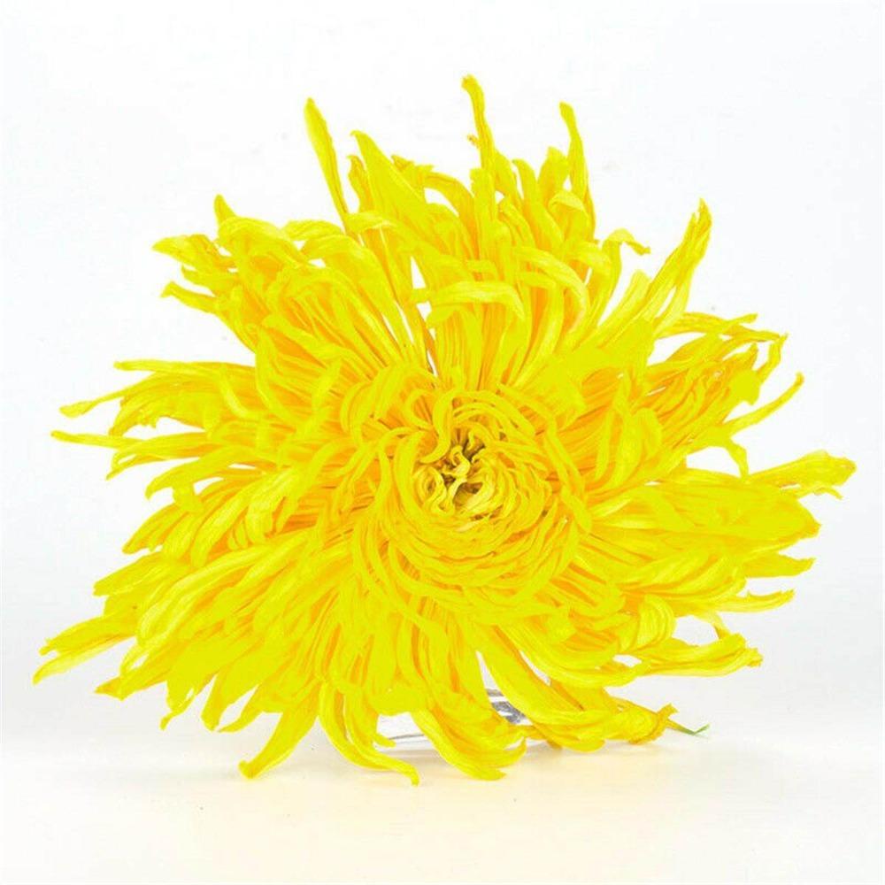 Organic Yellow Chrysanthemum Tea Big Blooming Flower Dry Herbal Health Drink