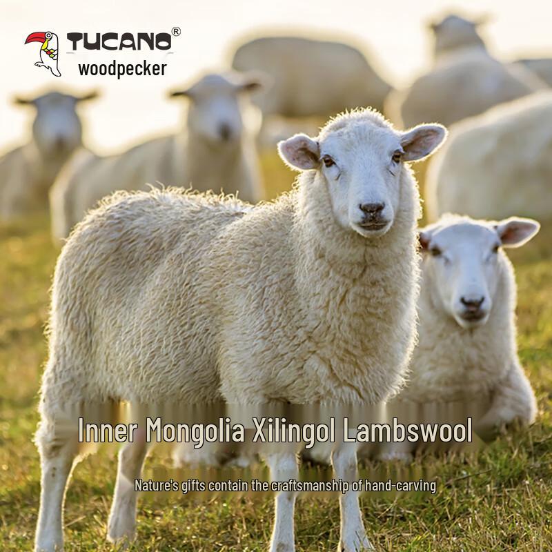 TUCANO Women's 100% Pure Wool Plaid Winter Scarf & Shawl