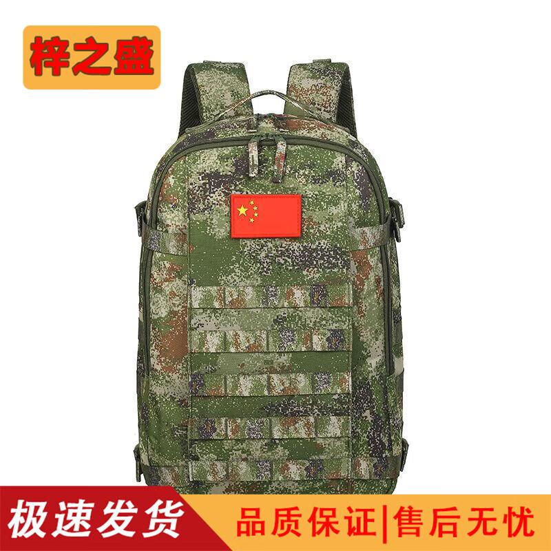 Zizhisheng Large Capacity Travel & Laptop Backpack
